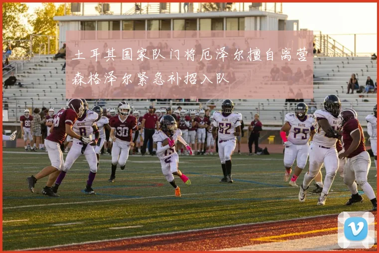 土耳其国家队门将厄泽尔擅自离营森格泽尔紧急补招入队